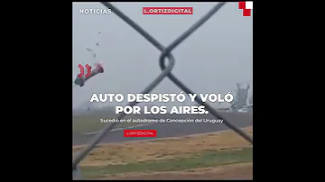 AUTO DESPISTÓ Y VOLÓ 