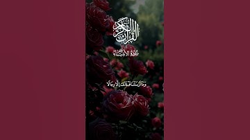 ماتيسر من سورة الأنبياء تلاوات خاشعة #القرآن