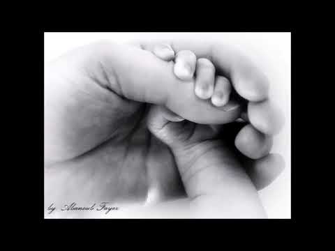 البابا شنودة الإنسان الروحي 