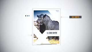 SireBuyer.com - Sire Buyer 2025 Sire Directory