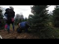 cutting down the Christmas Tree in VR180