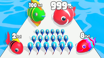 Fish LevelUp - Eat Fish Run Battle Level Up Satisfying Gameplay (Fishbowl Color Math) Game