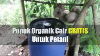 Pupuk Organik Cair GRATIS Untuk Petani