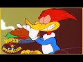 Woody Woodpecker | Bro Cockroach | Woody Woodpecker Full Episode | Kids Cartoon | Videos for Kids