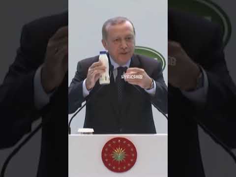 Erdoğan Adalar Sahilinde Bekliyorum (mizah amacıyla yapılmıştır)