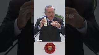 Erdoğan Adalar Sahilinde Bekliyorum (mizah amacıyla yapılmıştır)