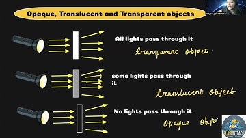 💡 The Power of Light & Reflection in Science! 🌟 | Must-Know Concepts for Curious Minds 🧠