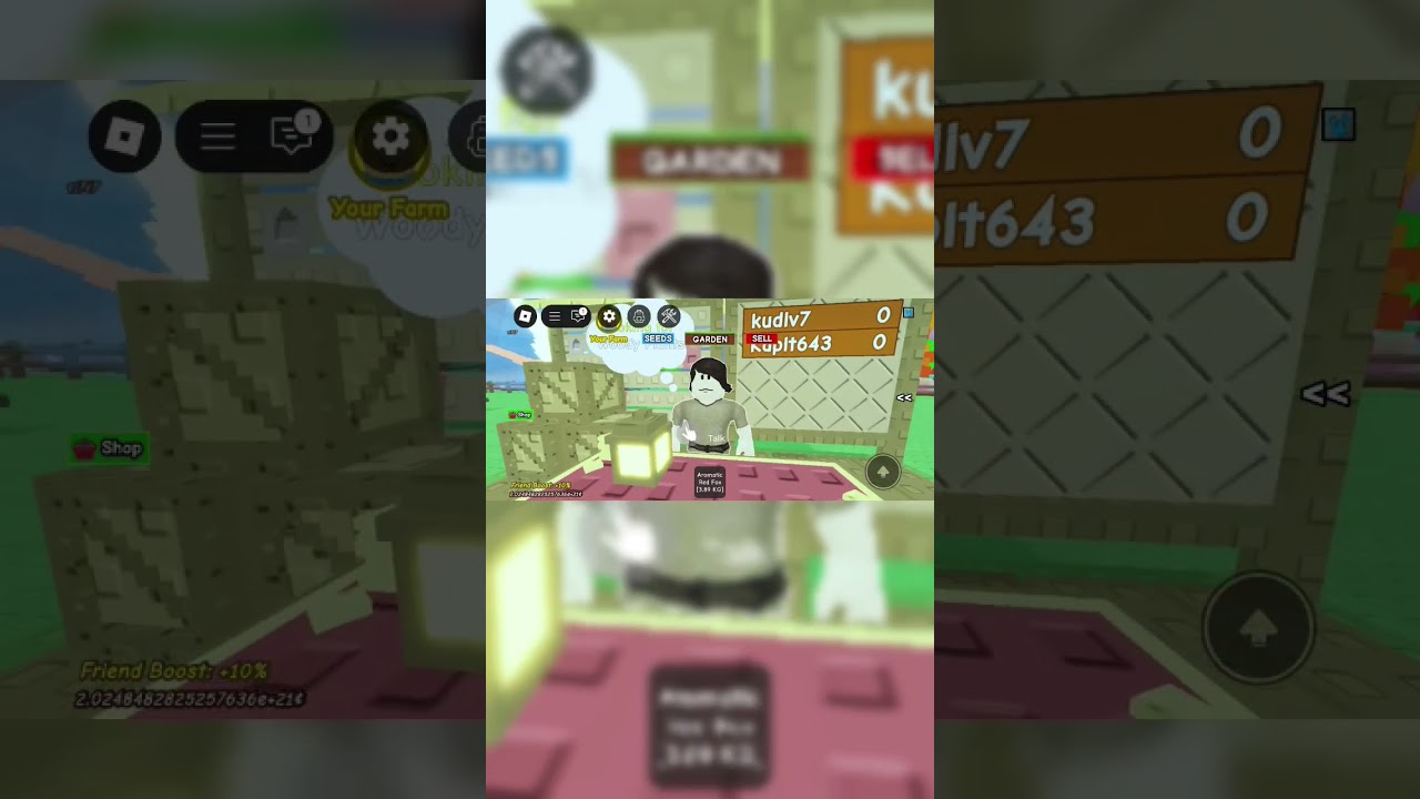 что и как делать на обновление 