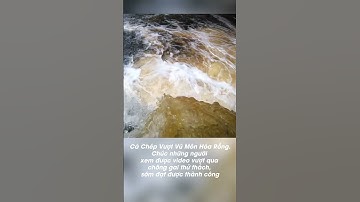 Cá Chép Vượt Vũ Môn Hóa Rồng #chiaser #mayman