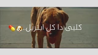 حالة واتس اب🎬كلبى دا كل ابتريل🐶💊حلقولو افجر حالات واتس⁦☠️⁩🔥