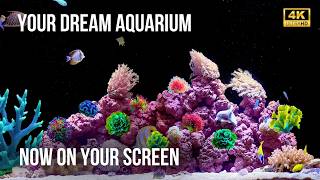 🐠 Relaxing Aquarium 4K Ocean Harmony | 12 Hours of Coral Reef Beauty and Gentle Water Sounds