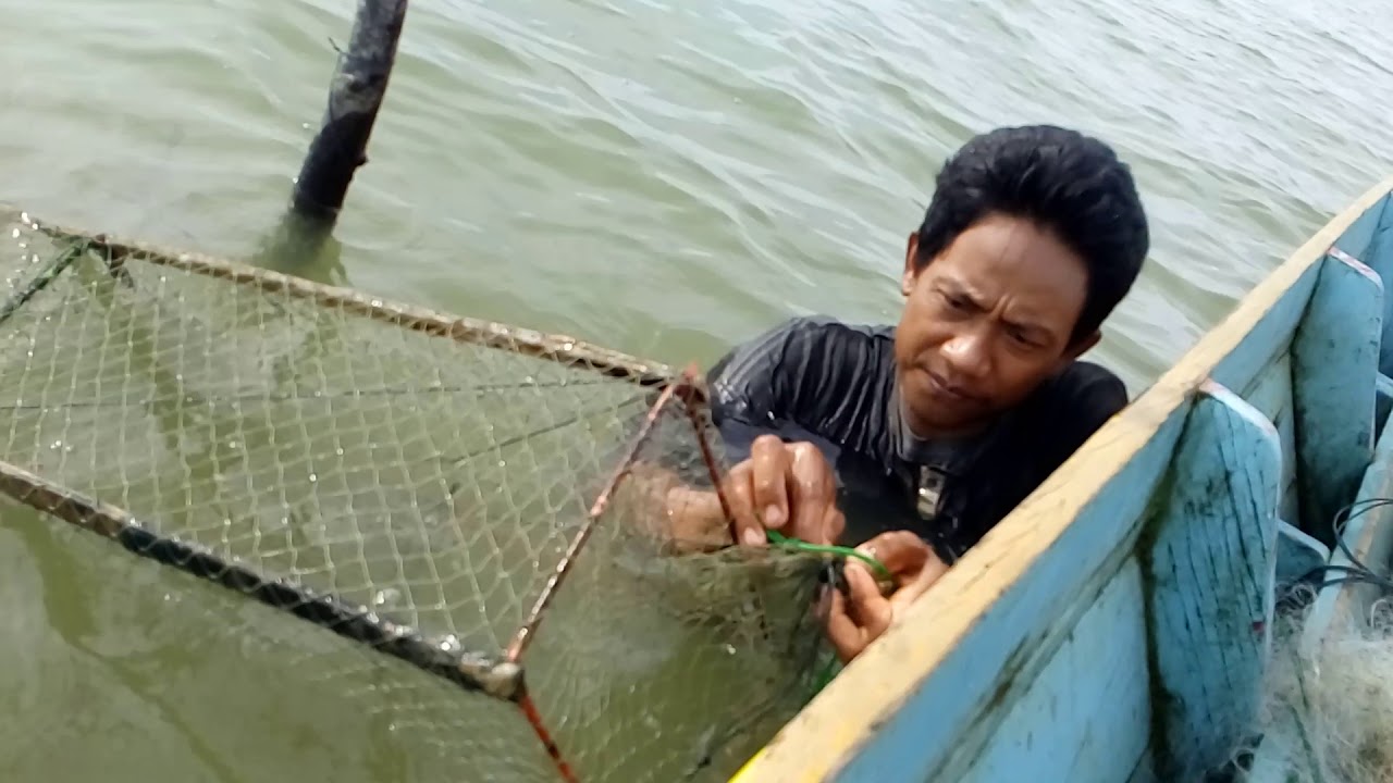 ตามล่าหาปลาขี้ตัง