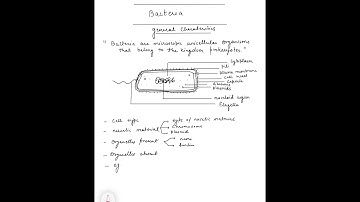 Rules for botany optional answer writing! 😁