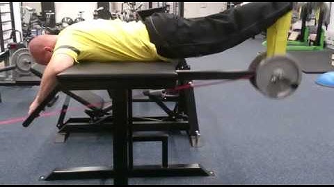 Reverse Hyper + mini band