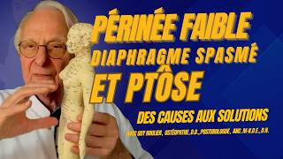Périnée Faible, Ptôse Et Diaphragme Des Causes À La Prévention Active Par Guy Roulier