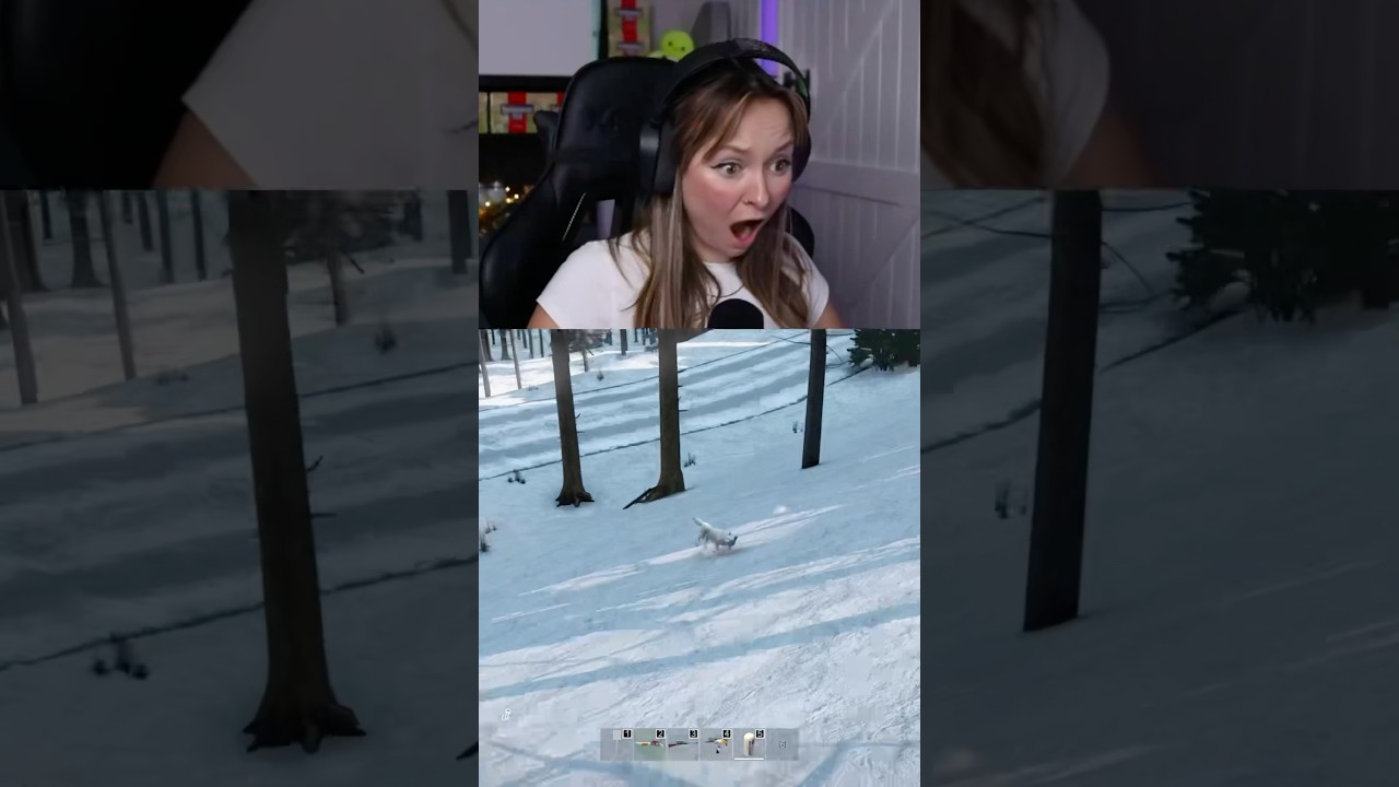 The Most Heartbreaking Mod in DayZ