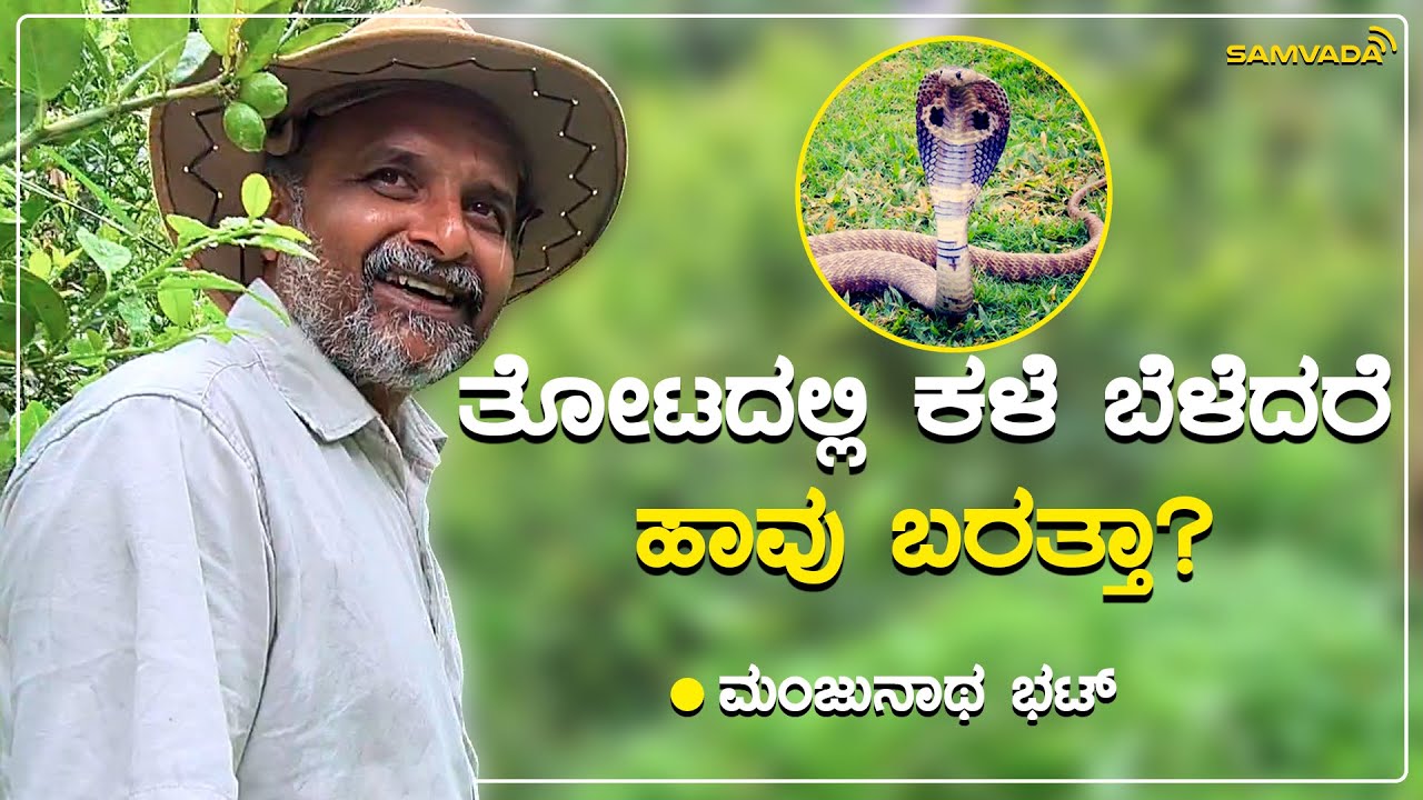 ತೋಟದಲ್ಲಿ ಕಳೆ ಬೆಳೆದರೆ ಹಾವು ಬರತ್ತಾ? | ಮಂಜುನಾಥ ಭಟ್
