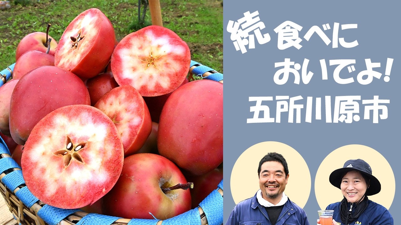 五所川原市 愛情詰まった赤～いりんご｜なびたび北東北