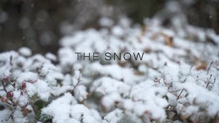 Skillshare Class Project-The Snow