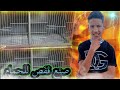 صنع قفص للحمام بي طريقه سهال