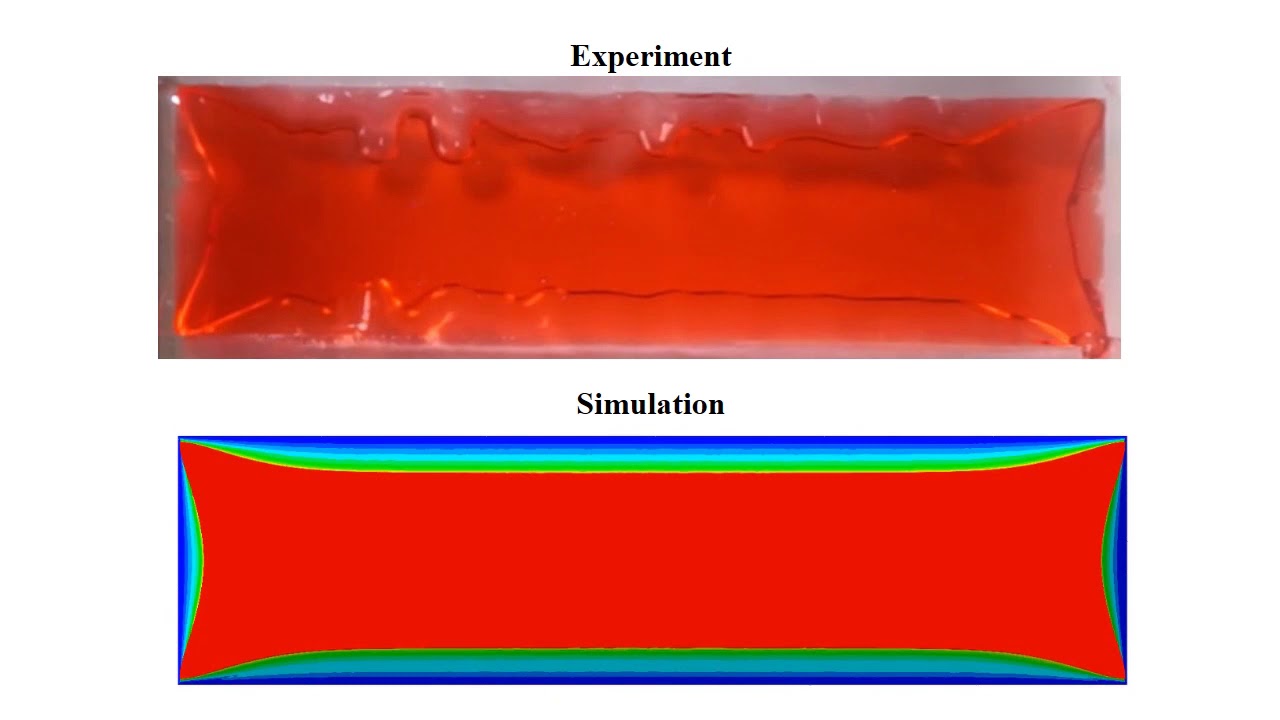 Fingering instability observed in a thin confined sample