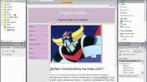 Expression Web: Templates