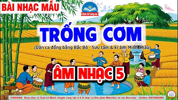 NHẠC MẪU TRỐNG CƠM | CHỦ ĐỀ 7 - GIAI ĐIỆU QUÊ HƯƠNG | ÂM NHẠC 5 -CHÂN TRỜI SÁNG TẠO