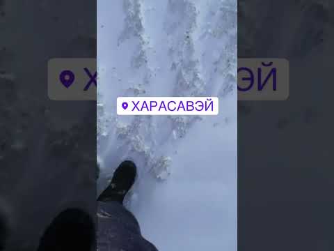 🤩 #харасавэй #вахта