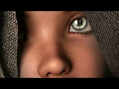 بركان بضنون الندم تنزل ضريح الشاعر لطيف العامري 