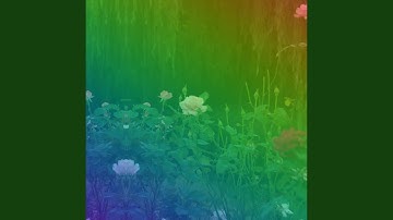 Background for Content Experiences