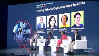 Putting Private Capital to Work in Africa