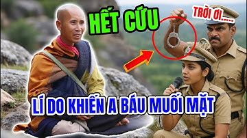 Người từng giúp tôi vượt biên... - Sư Thích Minh Tuệ hé lộ góc khuất sự ra đi của ông Báu mới nhất