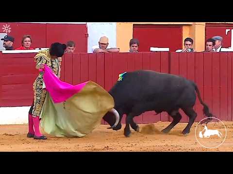 Morante de La Puebla second bull San Bernabé Fair Marbella 06/13/2026 CanalSur Más