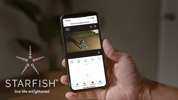 STARFISH Smart Security Flood Light and Camera: Security When You Need it Most