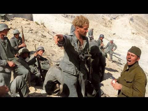 Видео: Подлинные немецкие киносъемки штурма Севастополя. Операция 