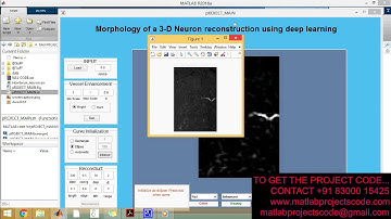 Deep learning segmentation of optical microscopy images improves 3D neuron reconstruction