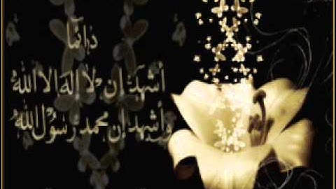 تلاوة مبكية للشيخ هاني الرفاعي سورة الفجر