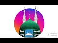 قصيدة أشواق وأشجان في مدح السيدة زينب رضي الله عنها لفضيلة الدكتور محمد وسام خضر حفظه الله