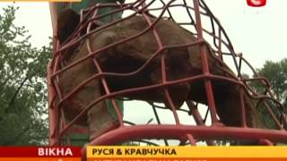 Видео о новом памятнике бабке с кравчучкой в Киеве