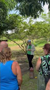 Download lagu Yeh Dil Deewana-Pardes #bollywood #love #song #srksongs #srk #bollywoodforever #bollywoodromance