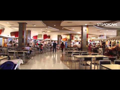 Steadicam Operator -