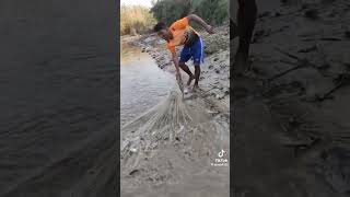 صيد السمك بالسلية في الأنهار الفرعية #fish #fishing #shorts