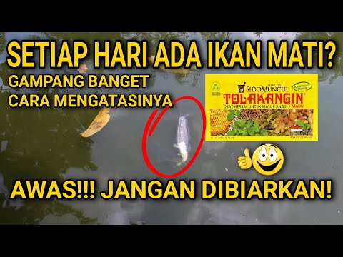 Video: 4 Cara Memberi Suntikan