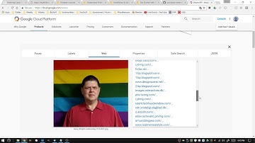 Google Vision API Demo on my own photo