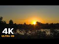 Нежнейший Рассвет. Восход Солнца | Приятные Звуки природы, пение птиц для Релаксации, Отдыха, Сна 4K