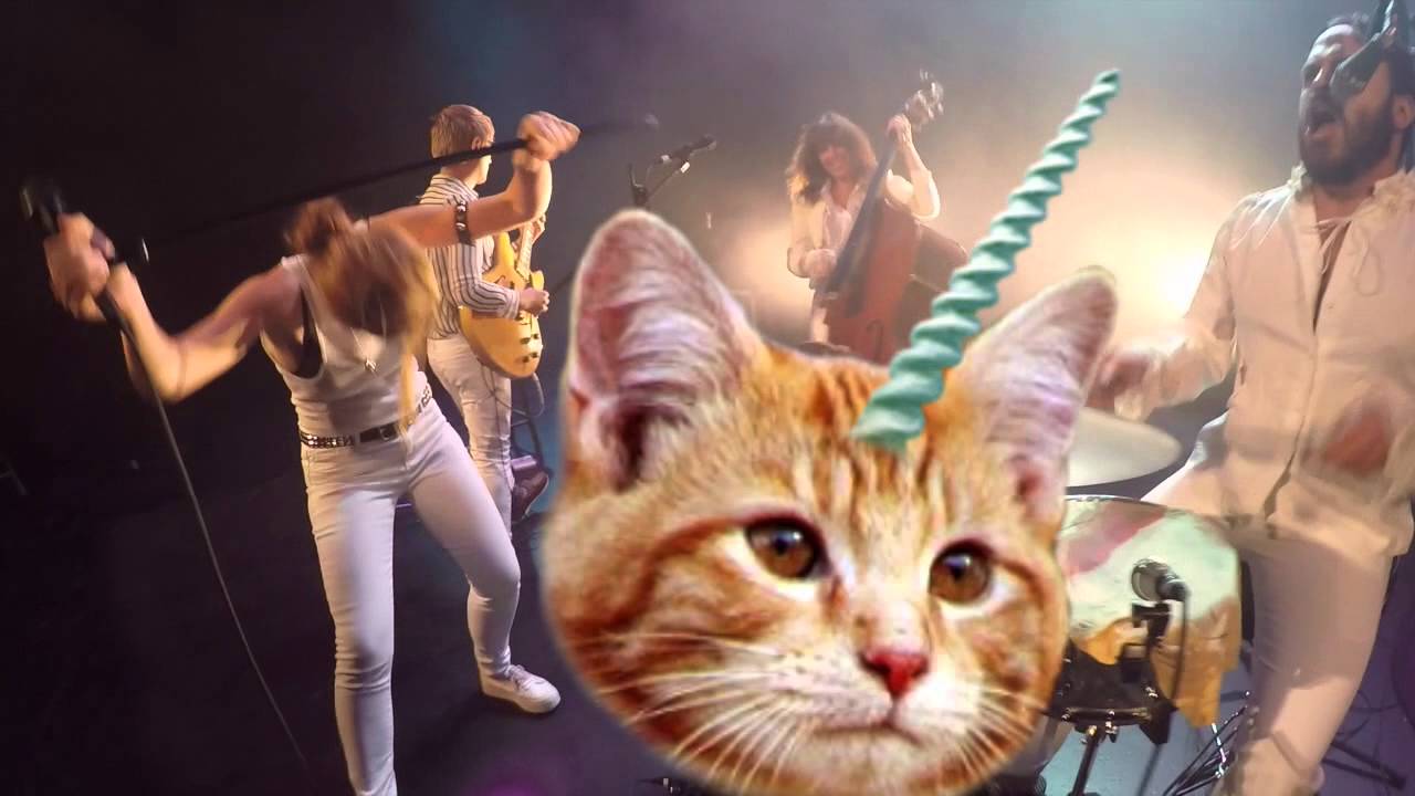 www.youtube.com