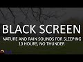 Relaxing Walk in the Rain, Nature and Rain Sounds for Sleeping by House of Rain