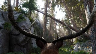 Riding on a Deer through Unitys Book of the Dead Environment
Unitys Book of the Dead Environment is awesome. And its FREE! I wanted to check out the new Realistic Deer of Malbers and take some screenshots. However in the build the 3rd person camera got stuck on the Deer itself and after a whats happening, where did I create a bug in my own script second I actually saw this is awesome. A most welcome perspective. So I thought Id create a quick video of it and share with you guys 😊
Riding on a Deer through Unitys Book of the Dead Environment is really nice 😁
Assets used:
* Realistic Deer
https://assetstore.unity.com/packages/3d/characters/animals/realistic-deer-214765?aid=1011lfvh6&pubref=rd&utm_source=aff
* Book Of The Dead: Environment | HDRP
https://assetstore.unity.com/packages/essentials/tutorial-projects/book-of-the-dead-environment-hdrp-121175?aid=1011lfvh6&pubref=botd&utm_source=aff
* Animal Controller
https://assetstore.unity.com/packages/tools/animation/animal-controller-148877?aid=1011lfvh6&pubref=ac&utm_source=aff
* Photo Session
https://assetstore.unity.com/packages/tools/camera/photo-session-227393?aid=1011lfvh6&pubref=ps&utm_source=aff Riding on a Deer through Unitys Book of the Dead Environment
