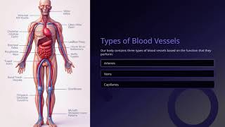 Class 7 SCIENCE | Transportation in Animals and Plants | Complete Tutorial | ELCAAS