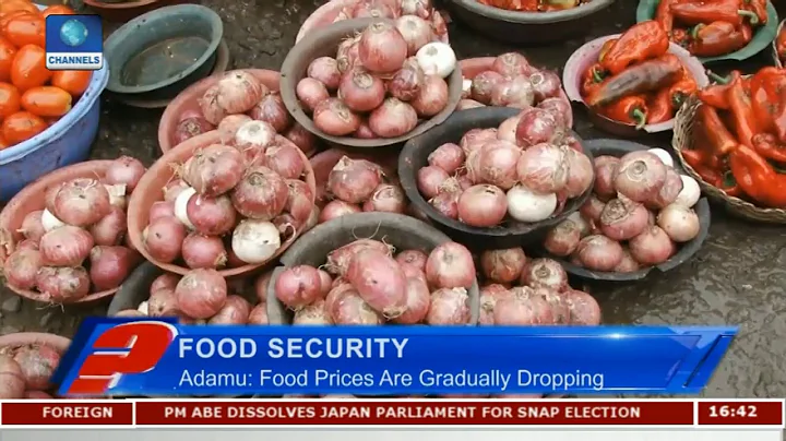 Promoting Food Security In Nigeria Pt 2 | Question Time |